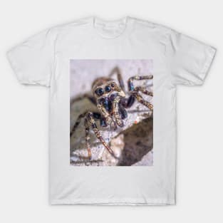 What's Shakin' Spidey? Jumping Spider Macro Photograph T-Shirt